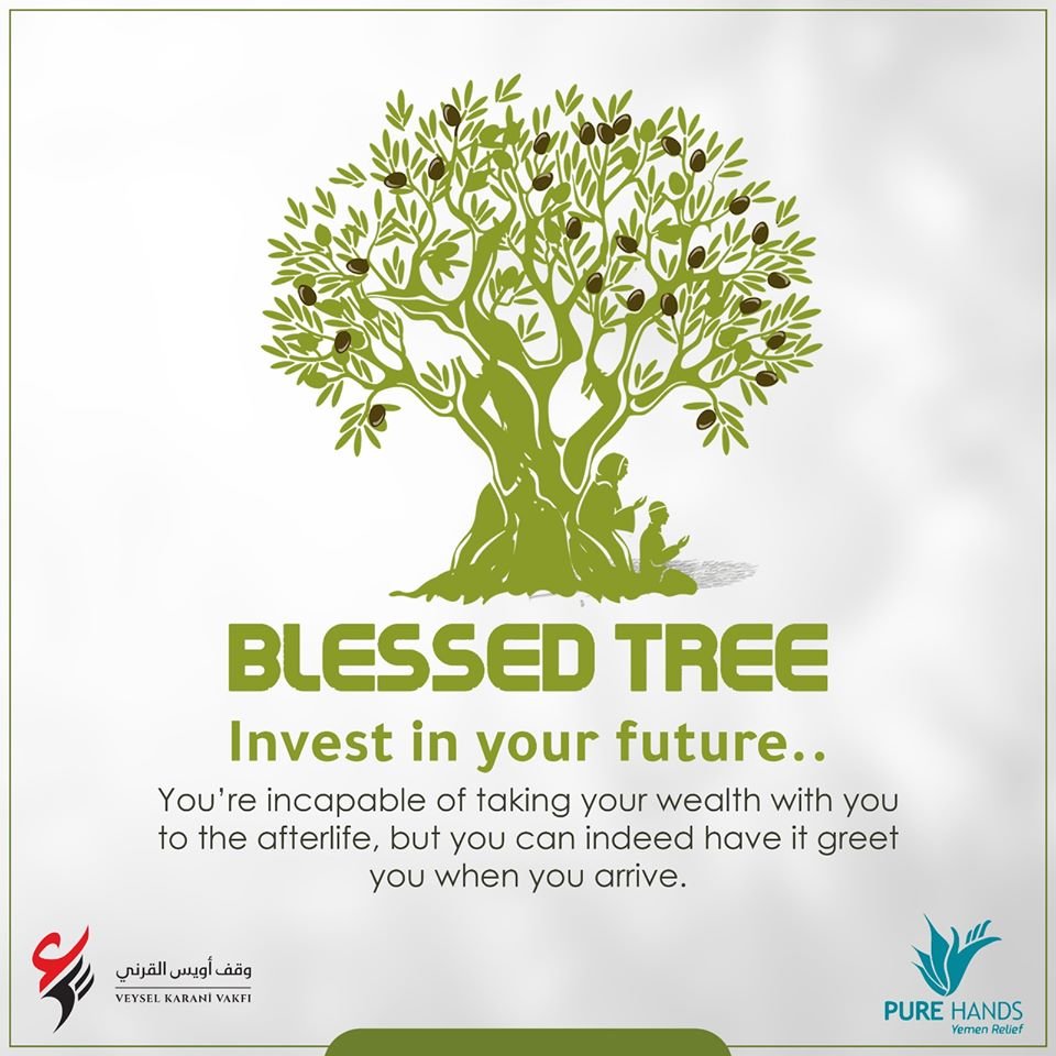 Launch of Blessed Tree Project